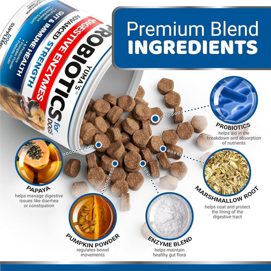 GutGuard Pro Chews™